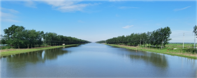 1768202082986522.png image.png